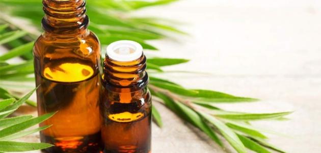 علاج حشرات الشعر بالأعشاب
