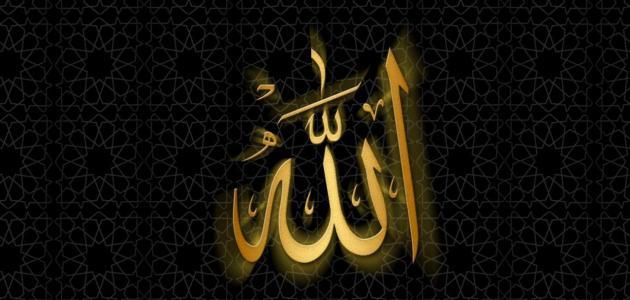 عجائب الخلق دليل على وجود الله تعالى