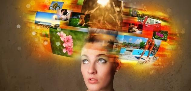بحث عن الذاكرة في علم النفس