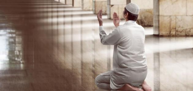 كم عدد المسلمين في بريطانيا
