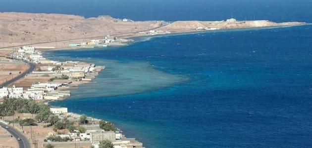 ساحل البحر الاحمر