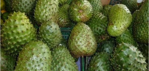 فاكهة الجرافيولا لعلاج السرطان