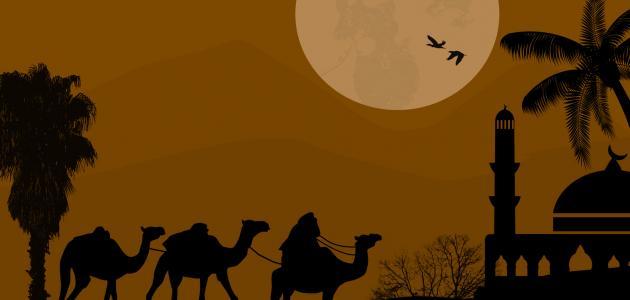 عمر بن الخطاب والعدل