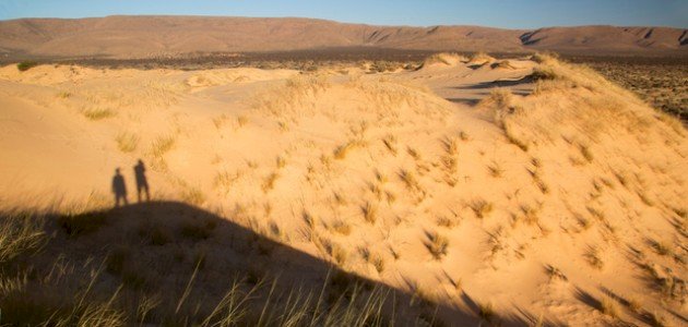 كم عدد المحميات الطبيعية في مصر؟
