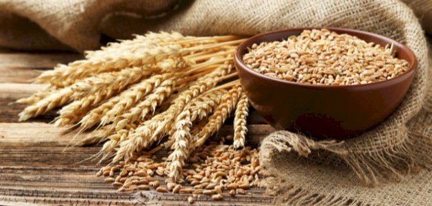 الفرق بين الهريس والجريش