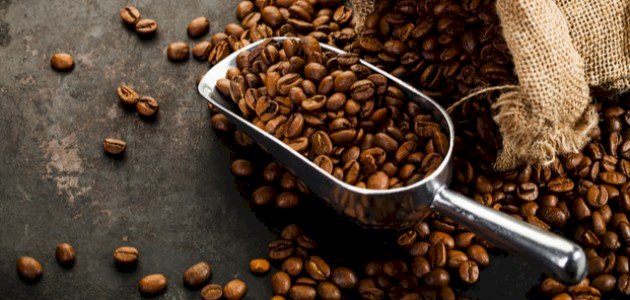 أين الموطن الأصلي للبن