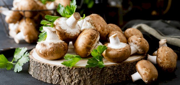 طريقة حفظ الفطر الطازج