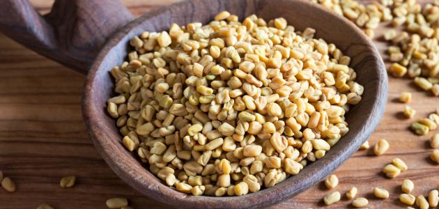 فوائد شرب الحلبة لتكبير الثدي