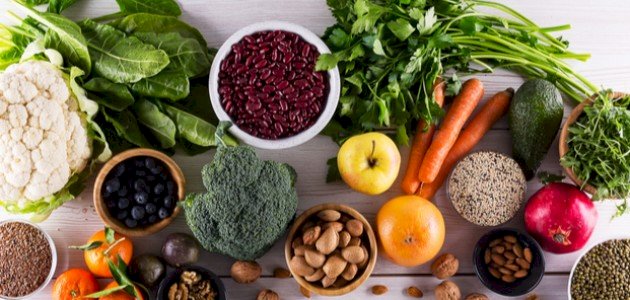 أطباق خالية من البروتين