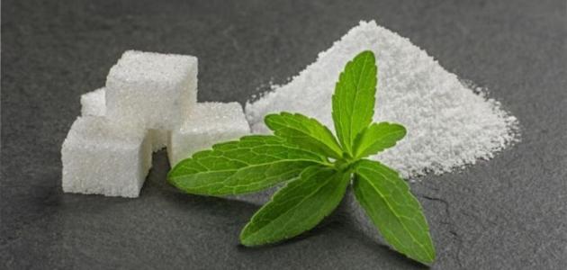 سكر ستيفيا: هل يمكنه المساعدة في فقدان الوزن؟