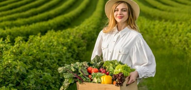 أفكار إبداعية للزراعة المنزلية
