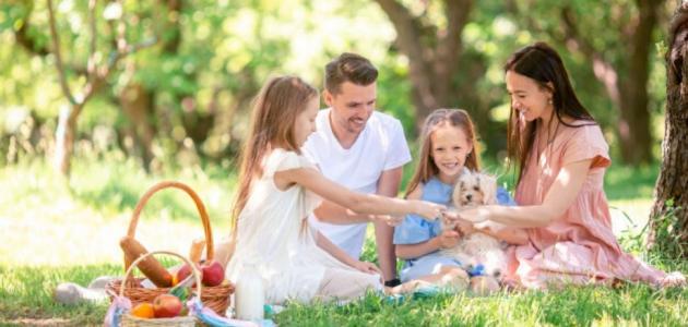 هل تعود الرحلات وتنظيمها على عائلتك بالخير