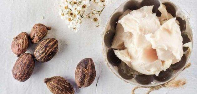 وصفة زبدة الشيا لتبييض الجسم