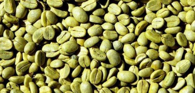 هل تساعدك وصفة القهوة الخضراء في التخسيس؟