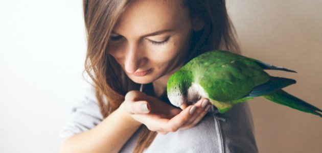 أكل العصافير وتربيتها ب10 نصائح