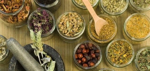 أعشاب لعلاج ارتفاع هرمون الحليب