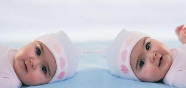 طرق الحمل بتوأم بالأعشاب