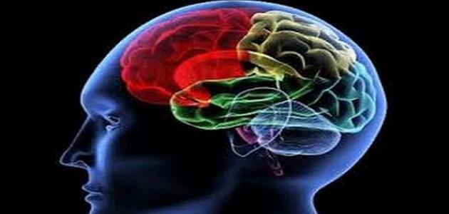 كيف اتعلم علم النفس
