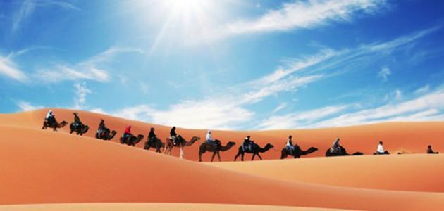 كم عدد المهاجرين الى الحبشة