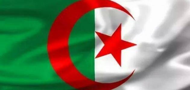 عدد المساجد في الجزائر