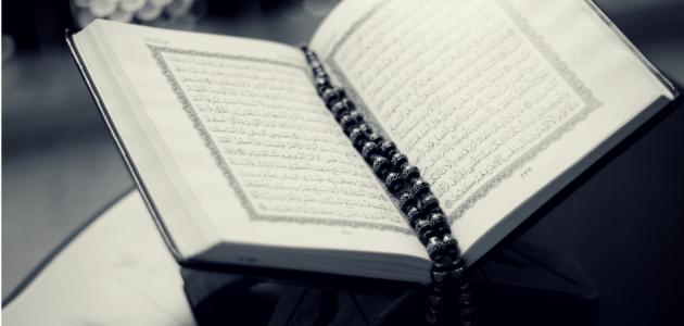 عدد الاستغفار في اليوم