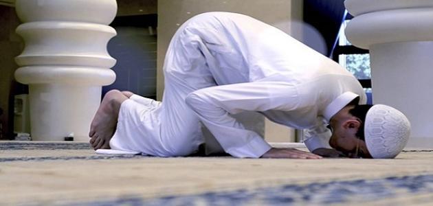كيف تكون سجدة التلاوة