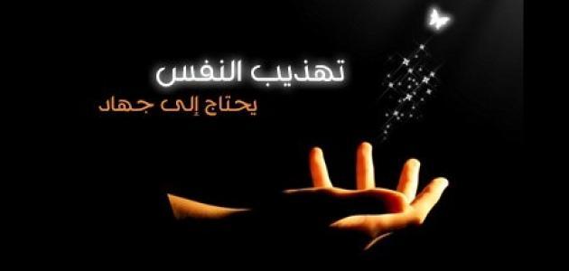 معنى اية لا يكلف الله نفسا الا وسعها