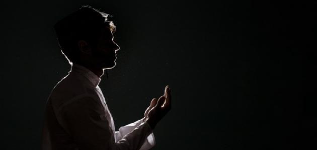 فوائد الوتر