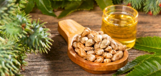 فوائد زيت الخروع للامساك